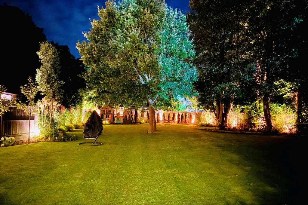 Garden At Night