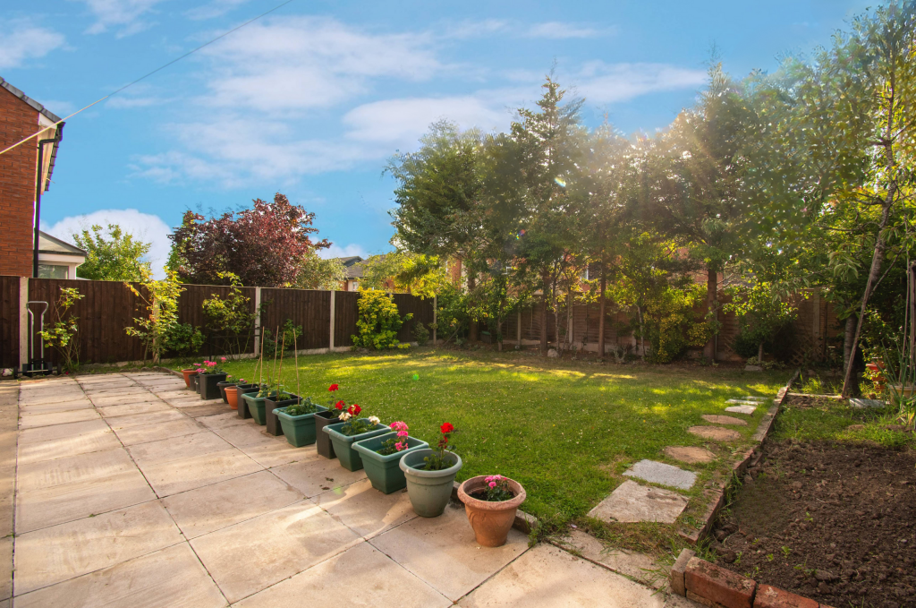 Untitled (5200 x 3900 px) (5200 x 3450 px) (5)