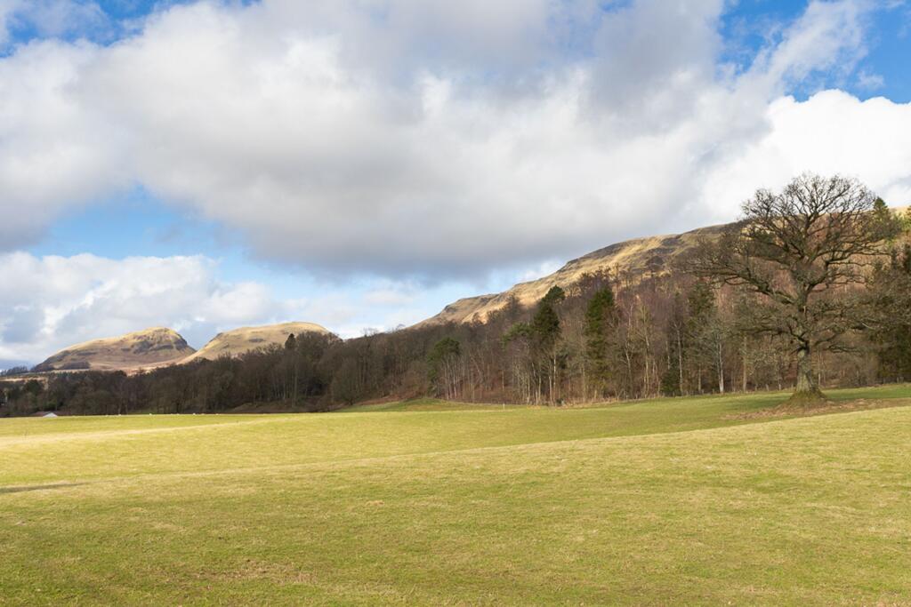 Local views