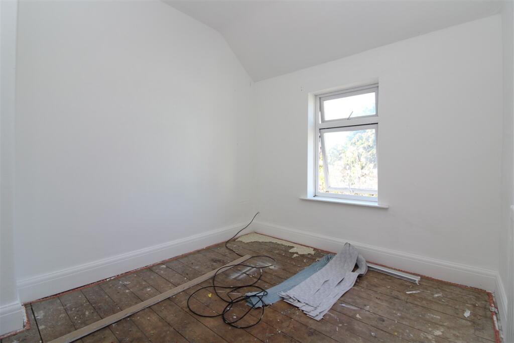 IMG 4932  Medium  T202504101031.jpg