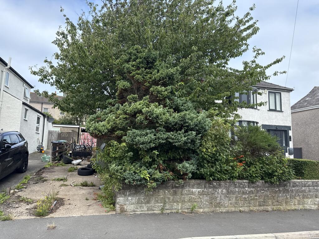 IMG 0888 T202507311106.jpg