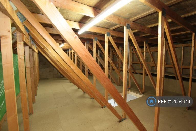 Boarded &amp; Lighted Attic