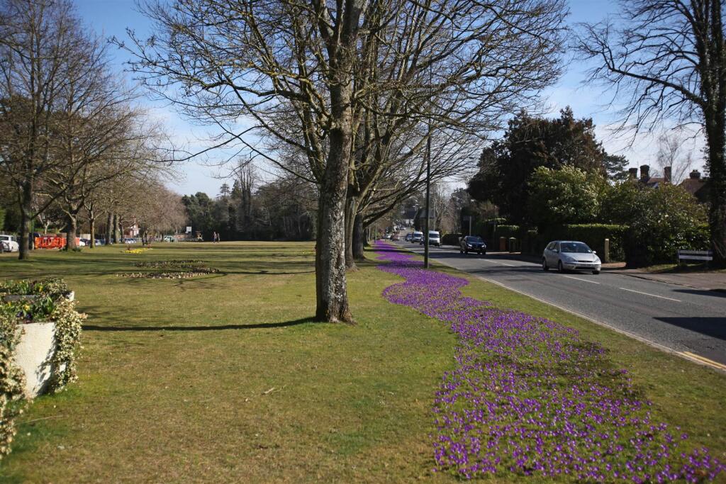 Muster Green3 March15.jpg