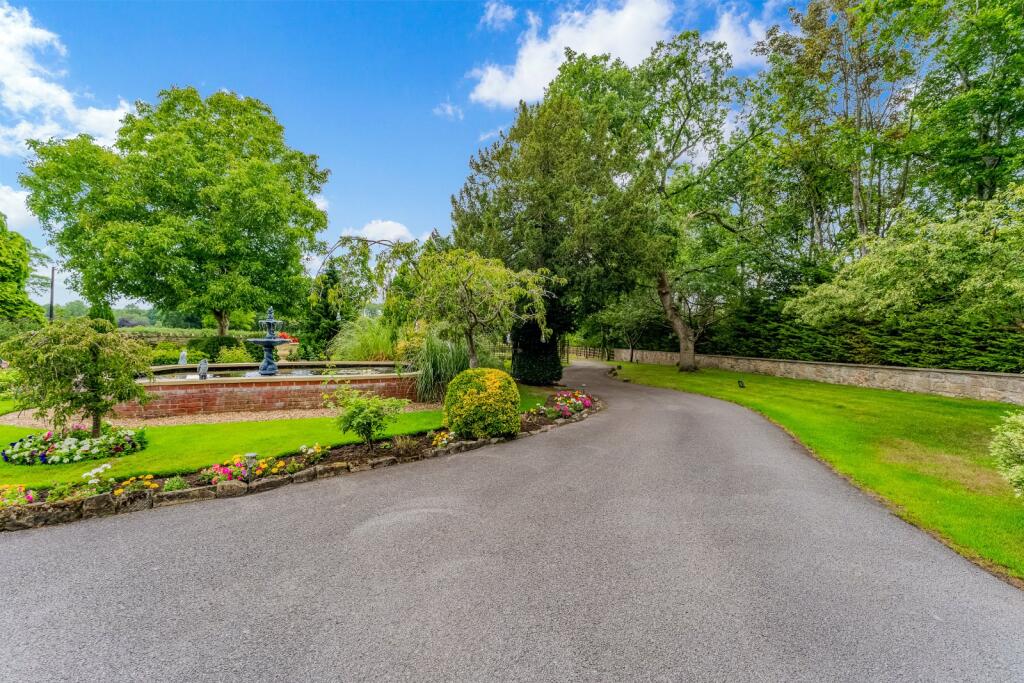Driveway