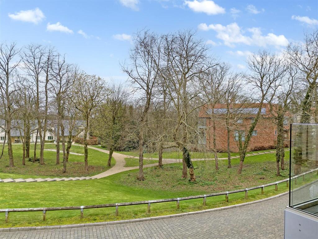 DJI_20240319101801_0006_D copy.jpg