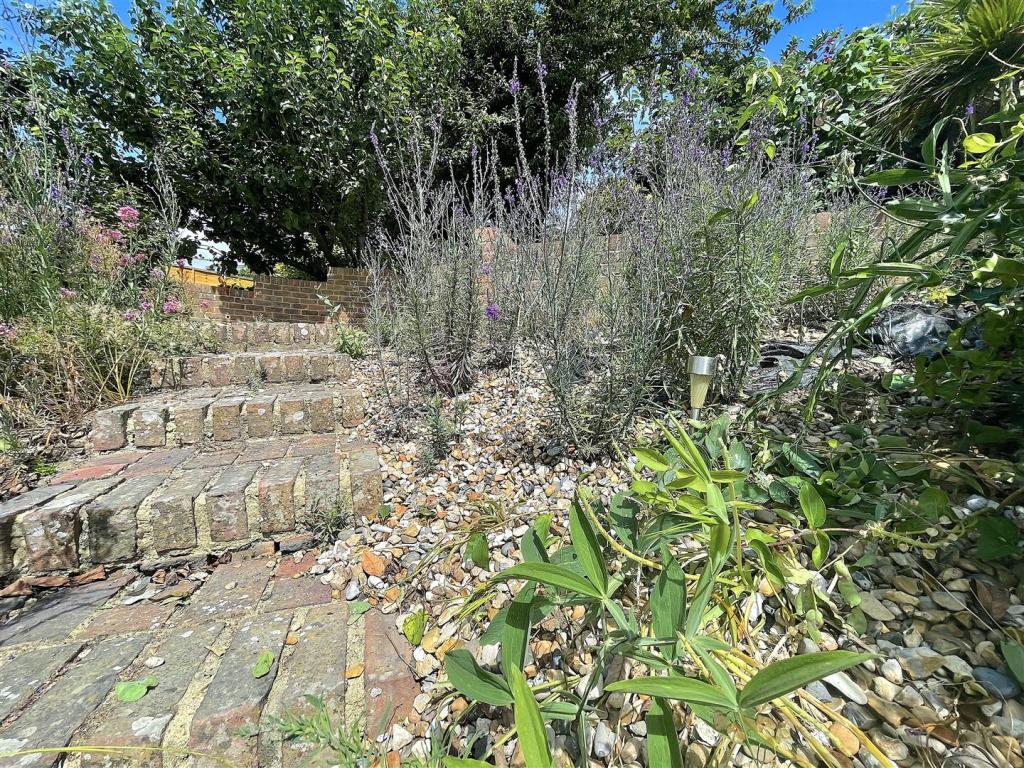 Garden (3).jpeg
