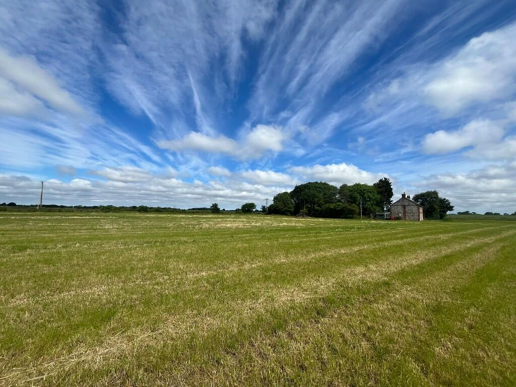 land