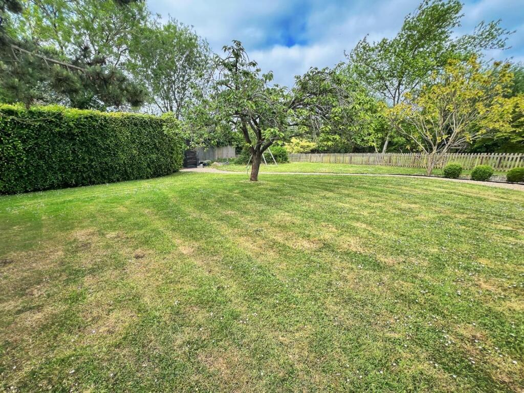 Rear garden