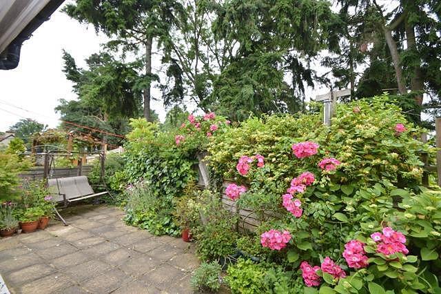 Garden 1