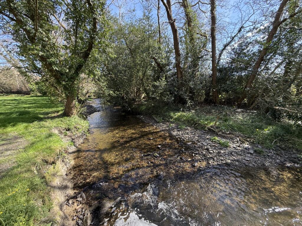 IMG 5395  Large  T202505021202.jpeg