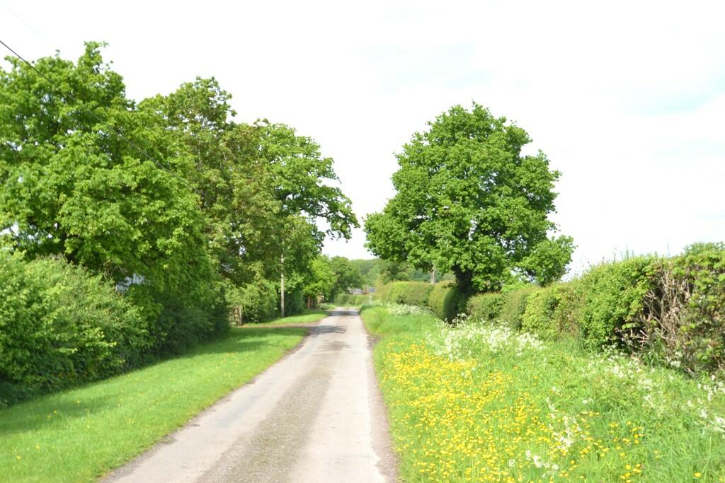 Country Road Appr...