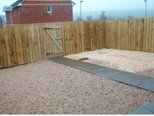 Back garden