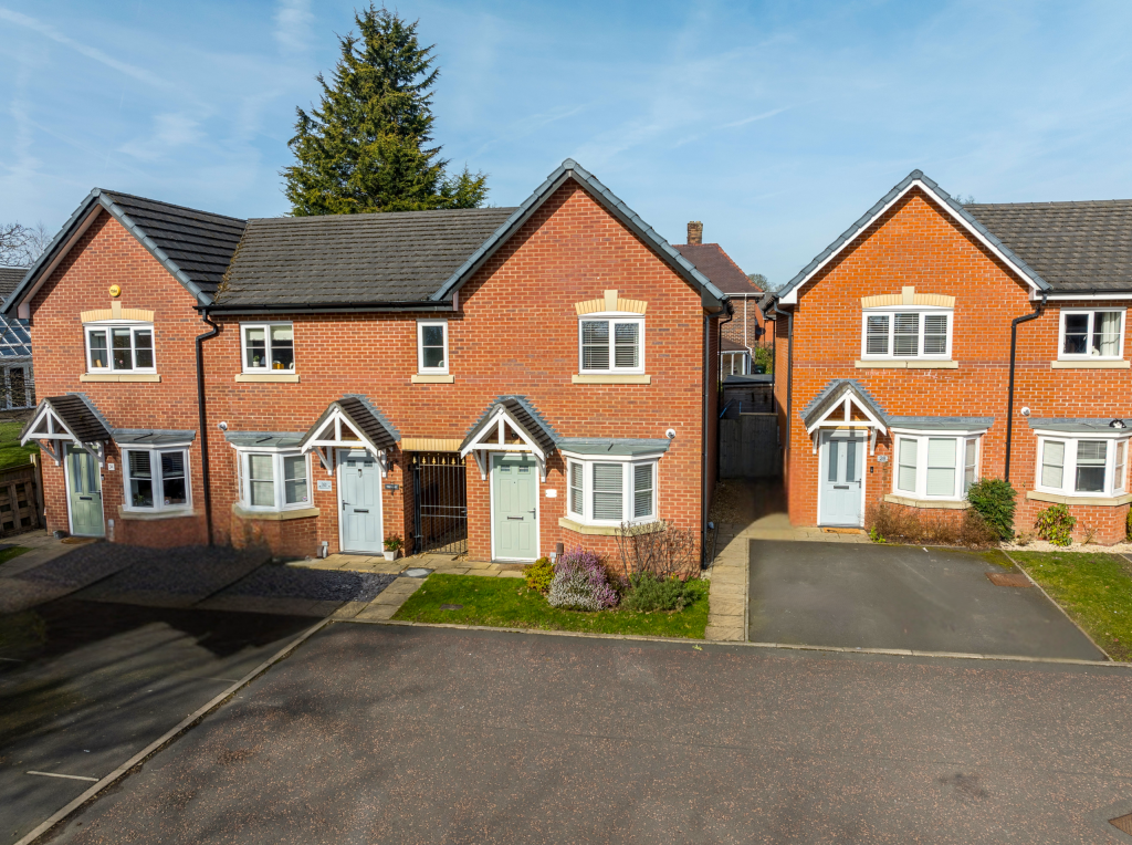 Untitled design (11)