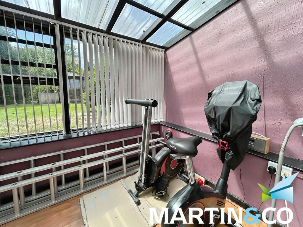 498ae743-IMG-2025...