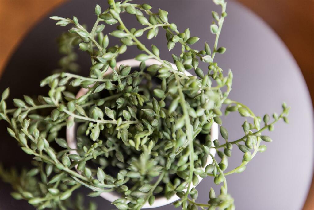 166 harrington hi res-23.jpg