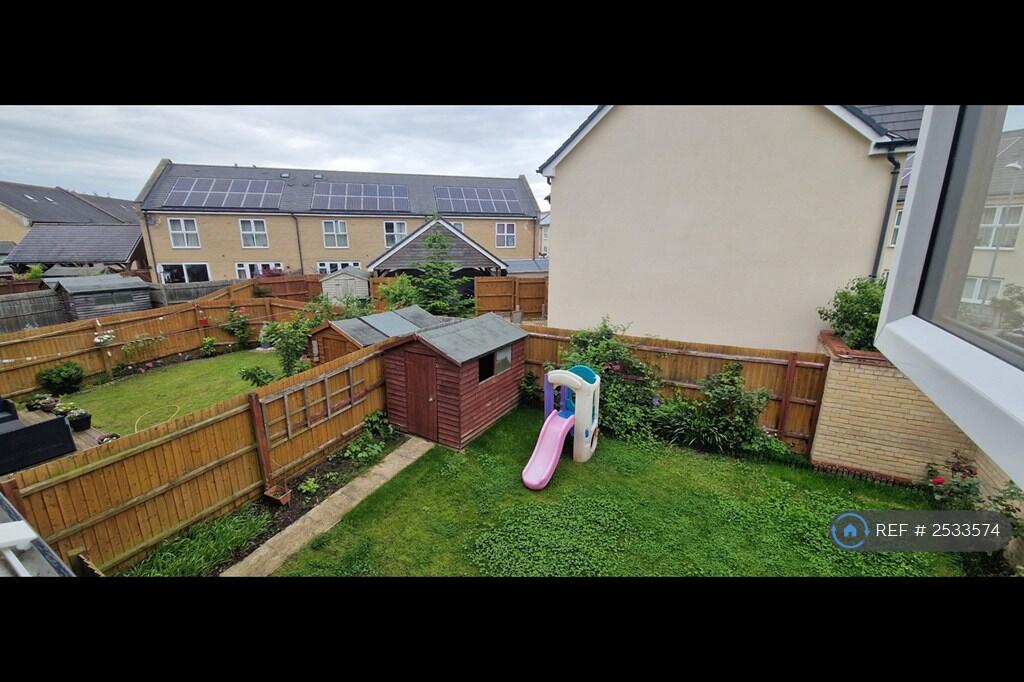 Back Garden