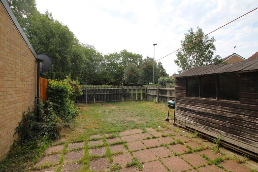 garden 2 .JPG