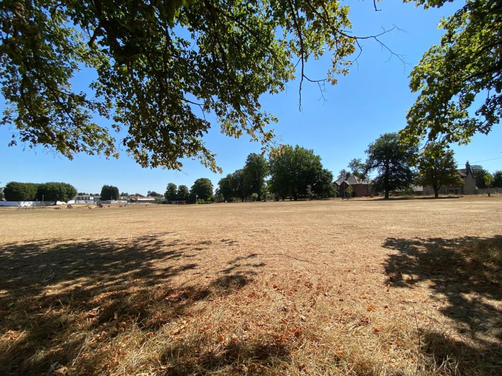 View of Town Park