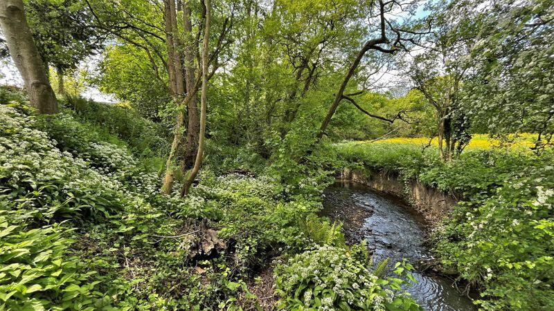 Stream and Woodland
