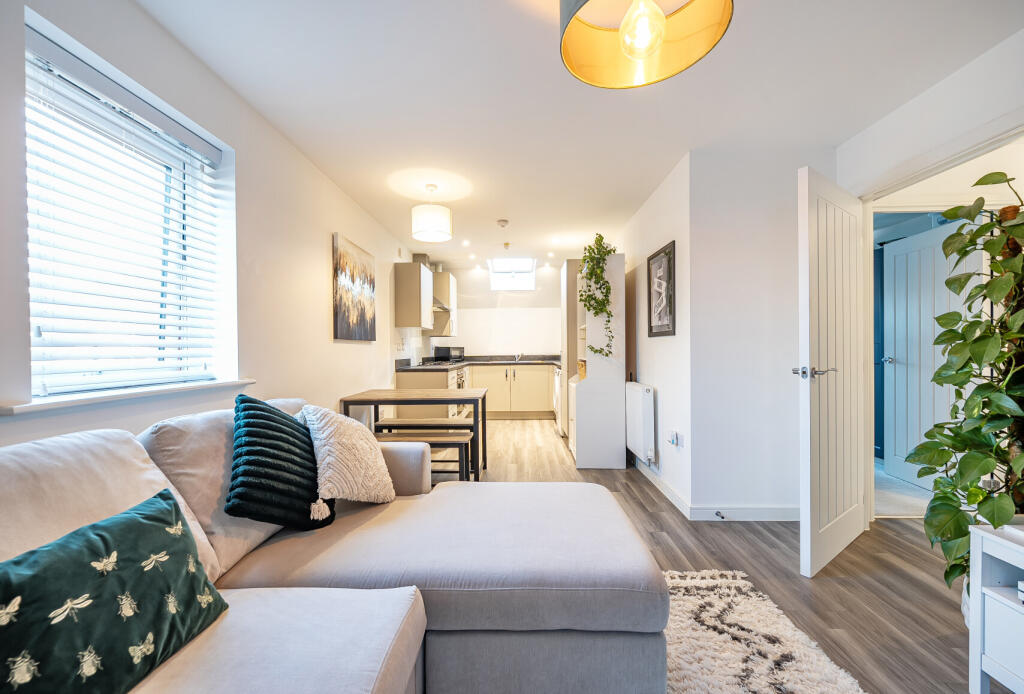 1356916-6-68d1a19...