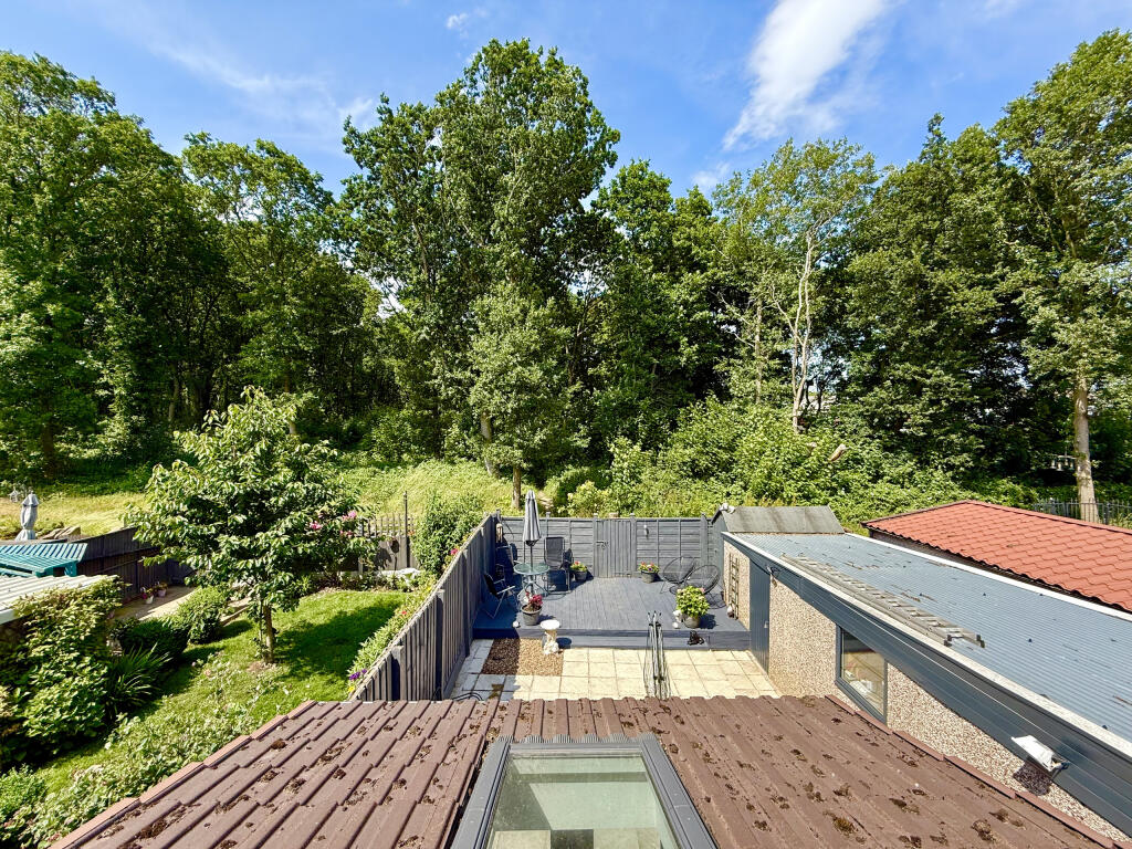 Rear Outlook
