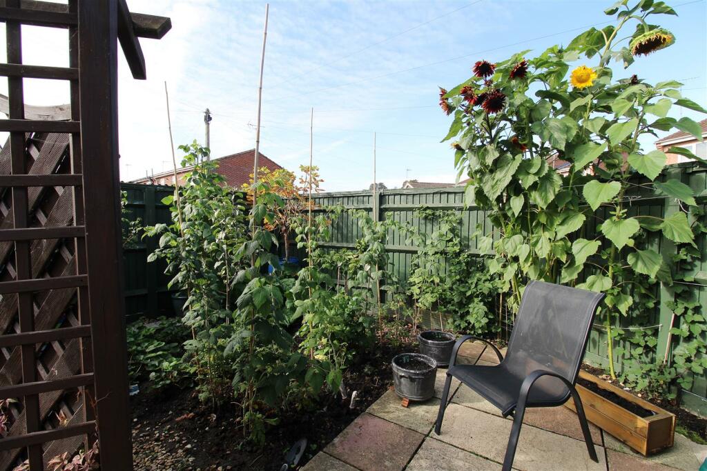 Vegetable Garden