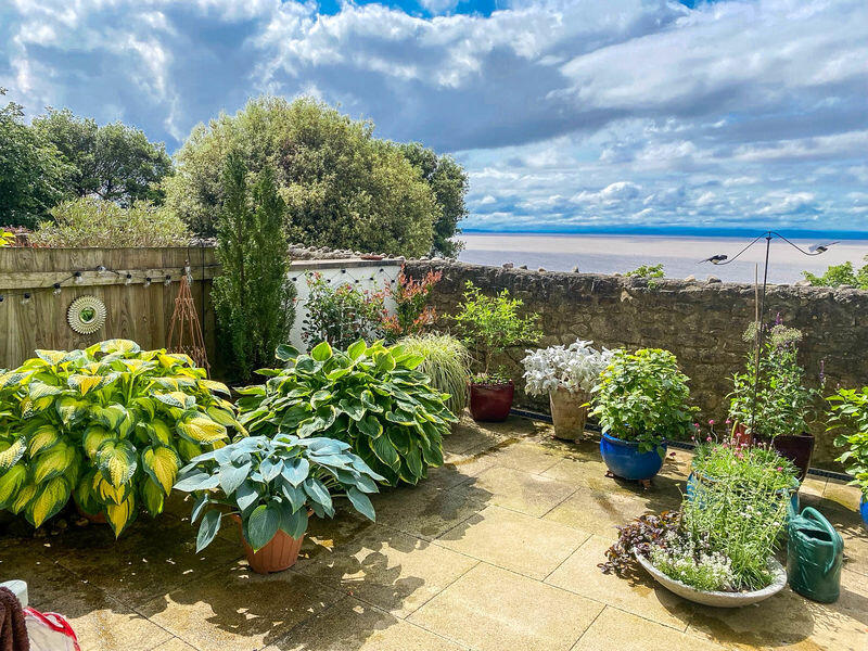 Patio Garden