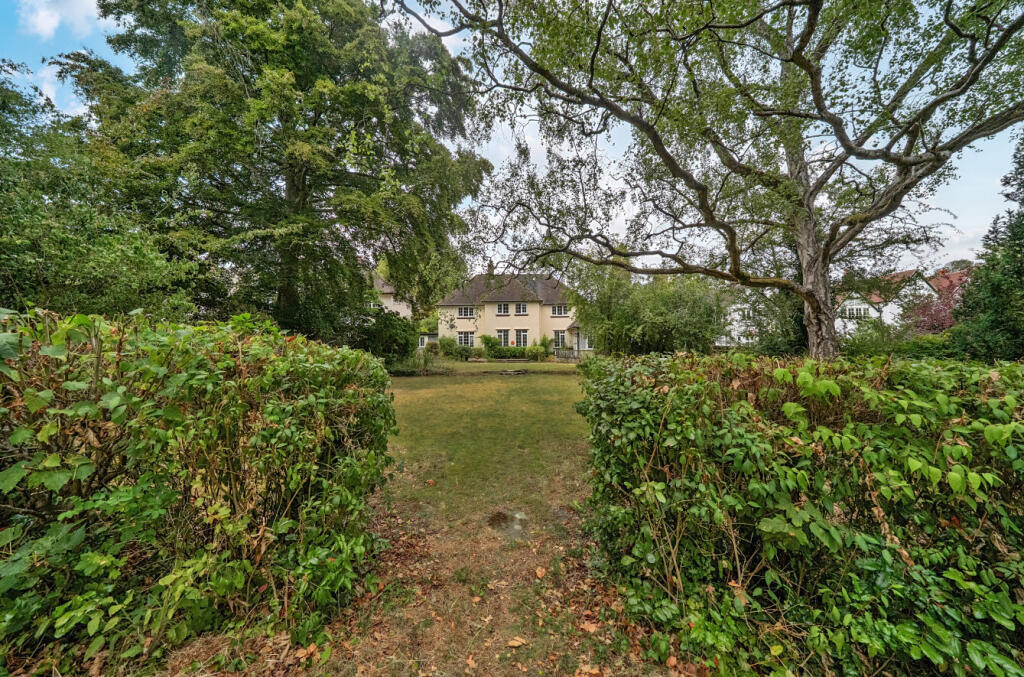 Rear Elevation