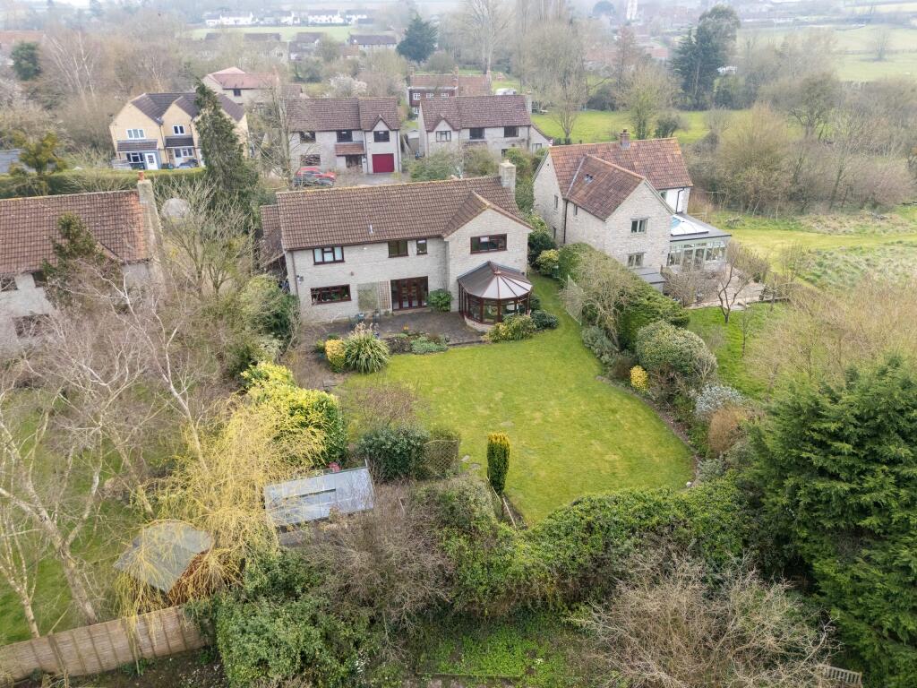 TEK HiRes 250310 016.jpeg