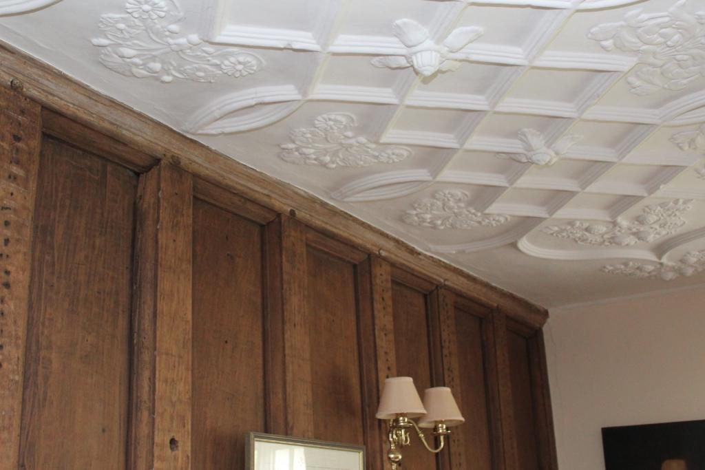 Feature Ceiling
