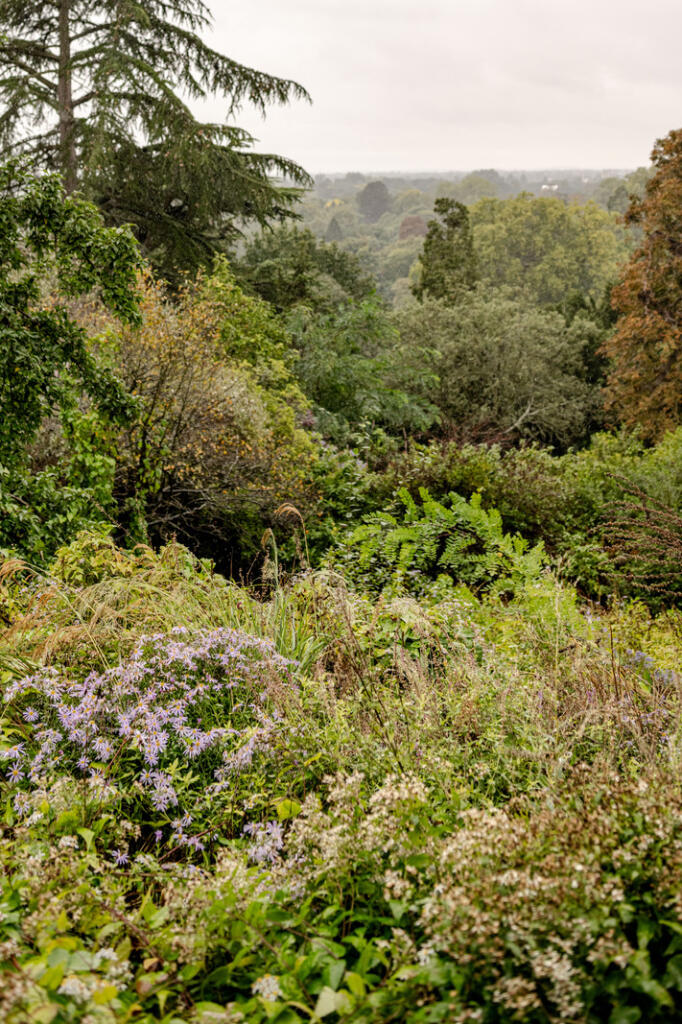 236294 - TMH_HILLBROW-213.jpg