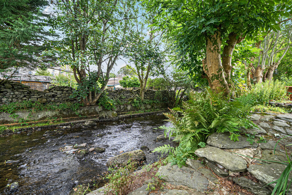 Views of the Rive...