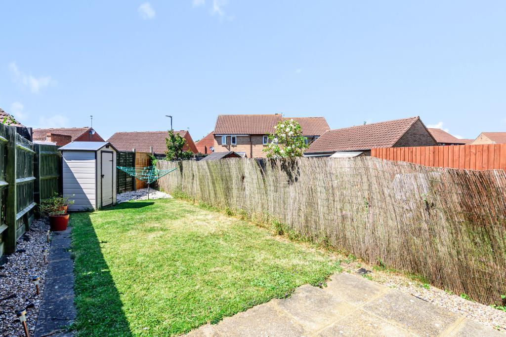 Back aspect
