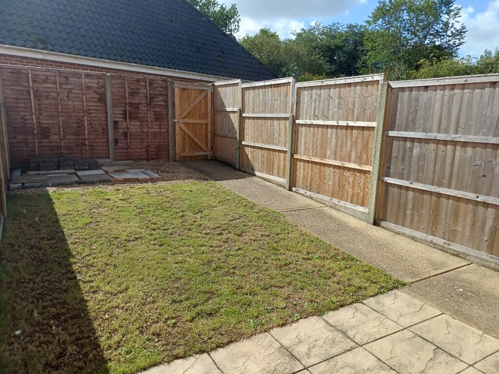 Back garden 