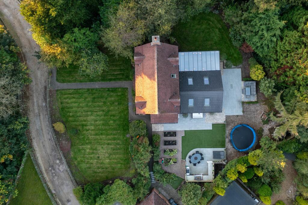 Drone View