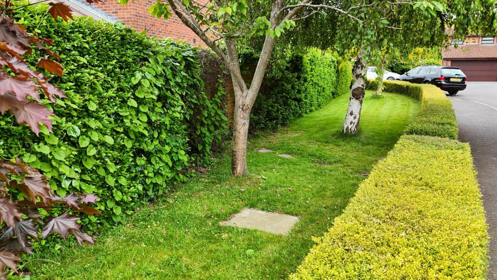 Side landscaping area