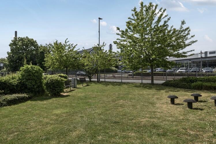 1295976 33 682c53732498f ARW