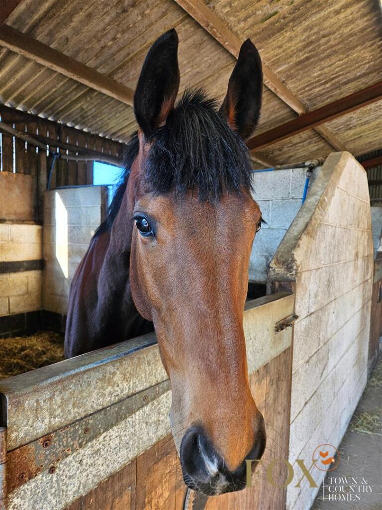 The Old Coach House (2).jpg