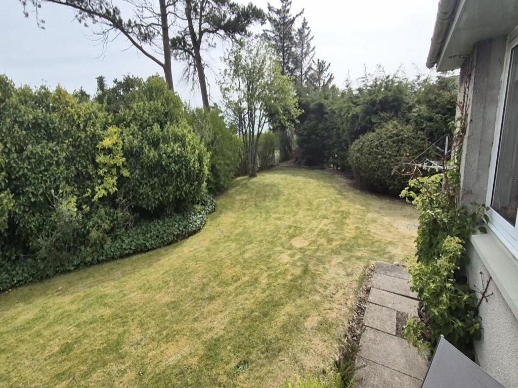 Rear Garden 2