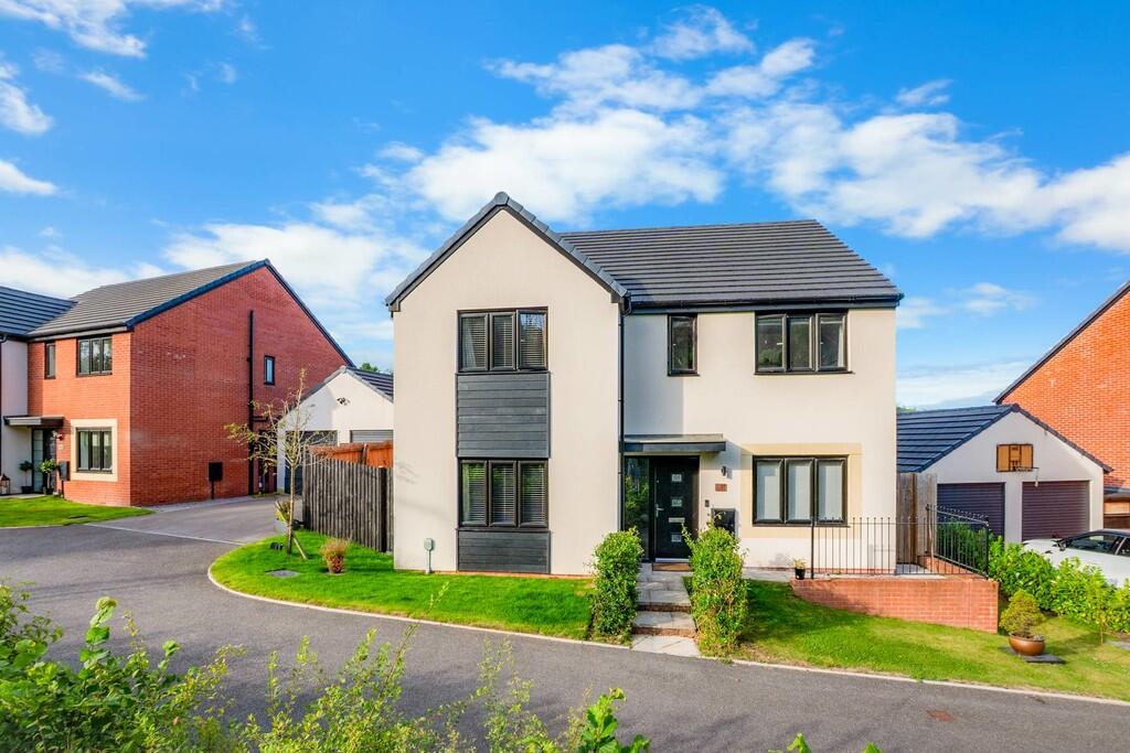 20250706-DSC_3451...