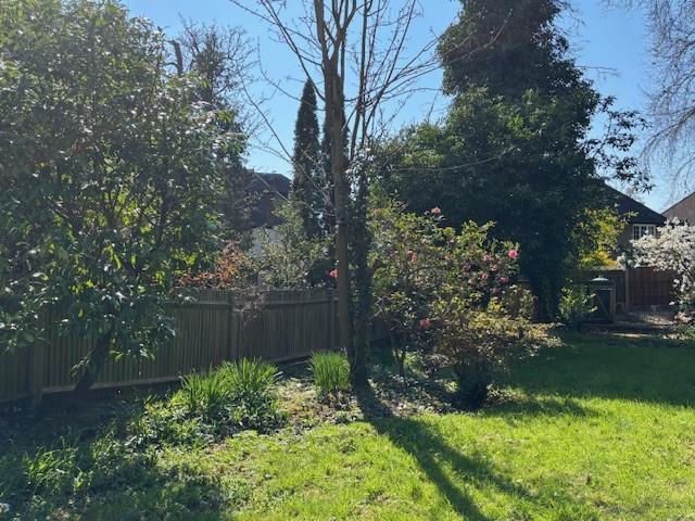 Garden 1.jpg