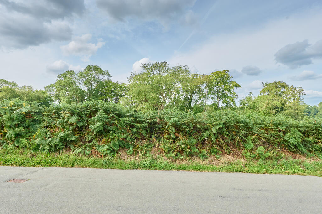 P1518491 T202508071828.jpg