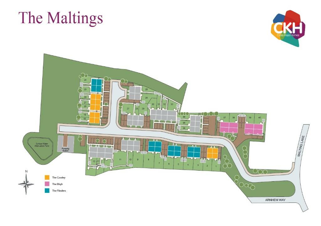 Development plan