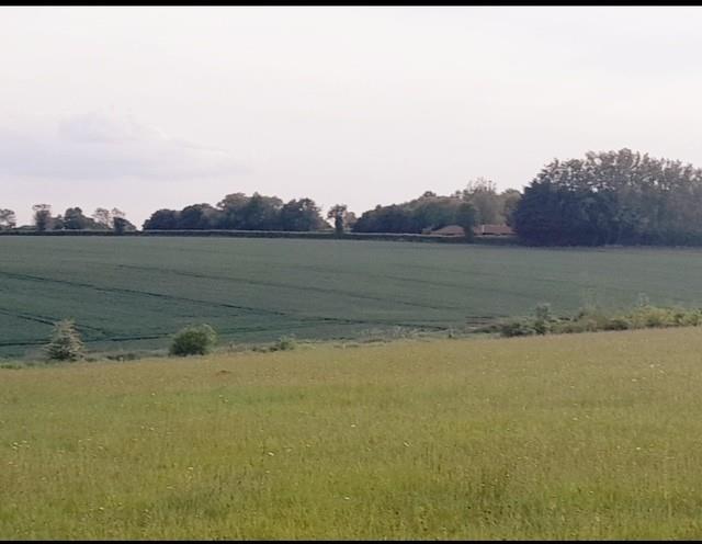 Colmworth 3.jpg
