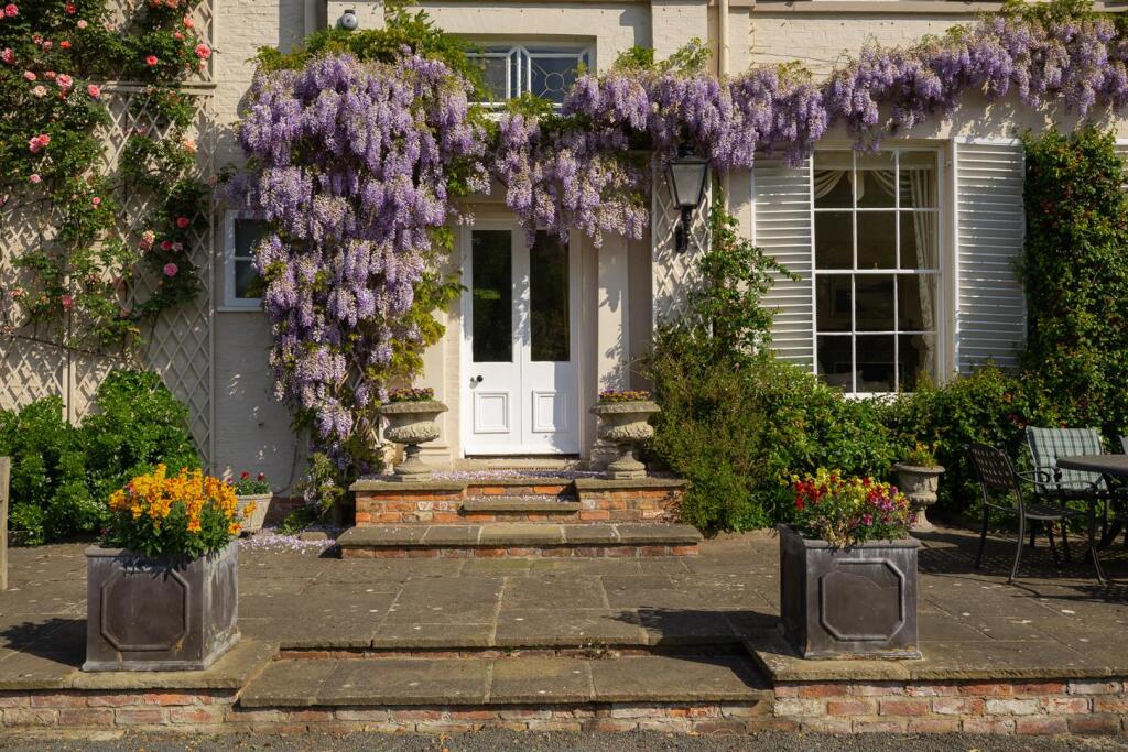 South Facing Entrance and Terrace