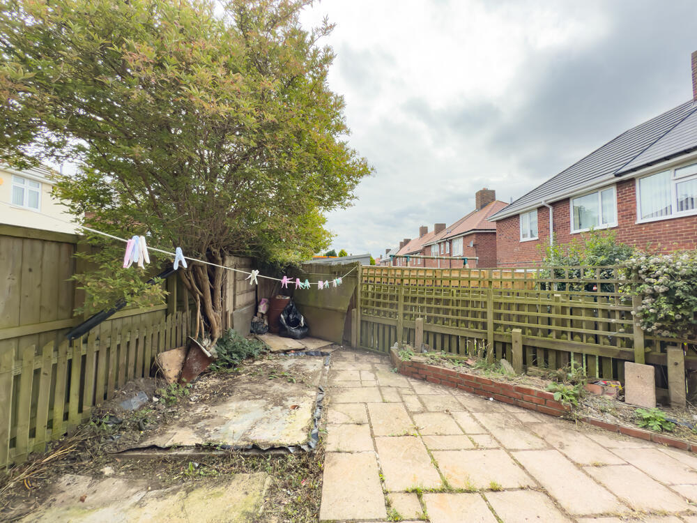 IMG 2094 T202507301918.jpg