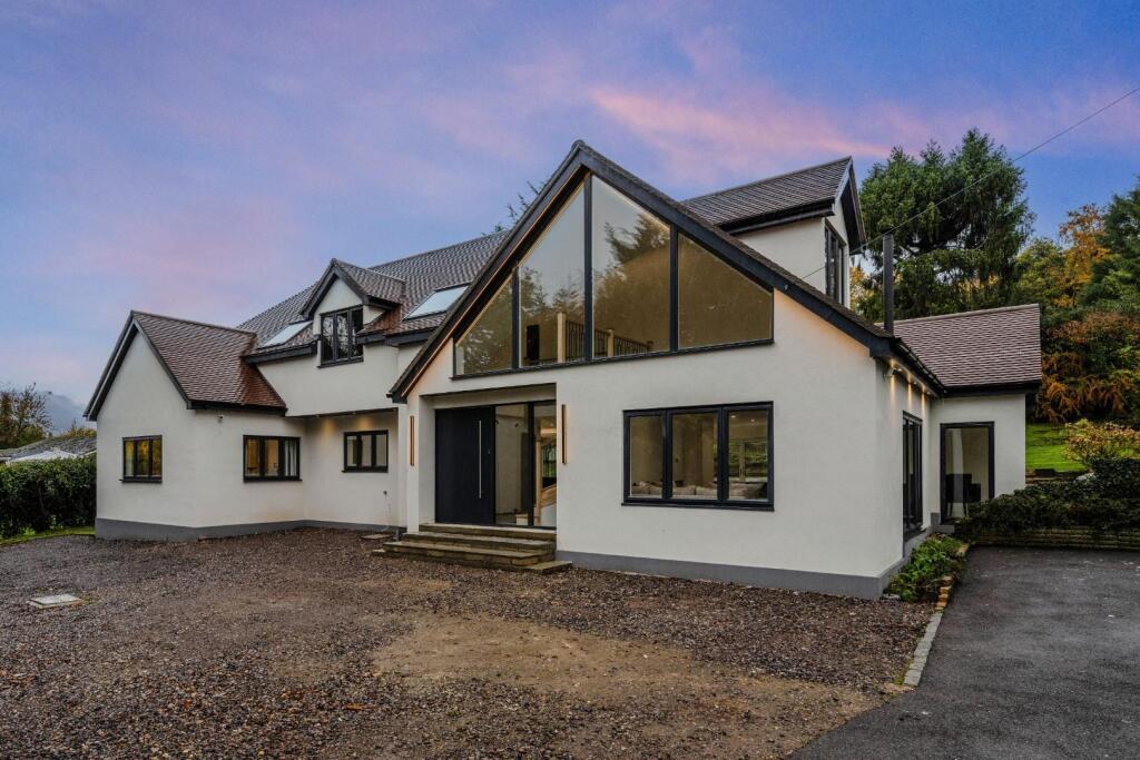 NIGHTSHOOT (1) -OPTION.jpg