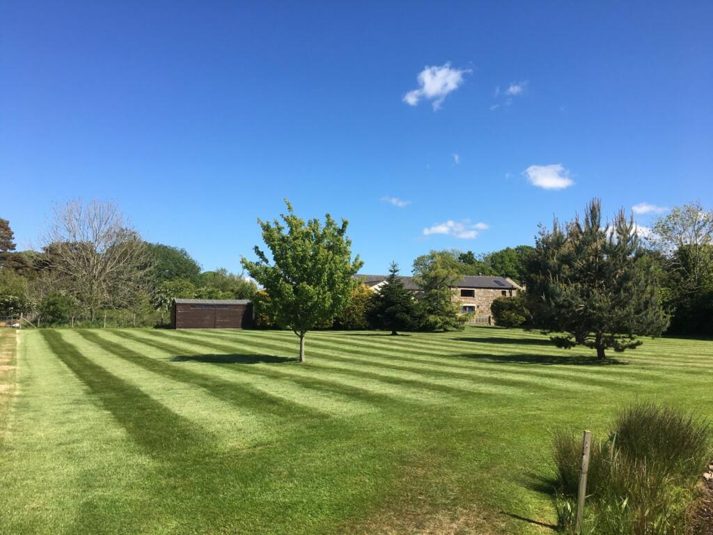 Lawn