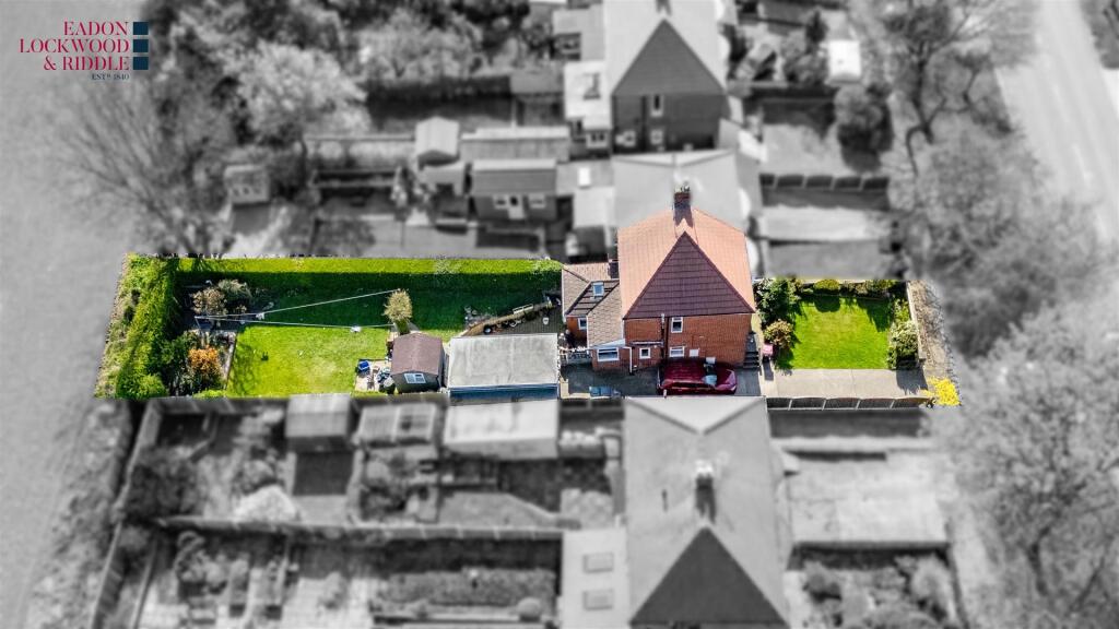 Aerial 2 .jpg