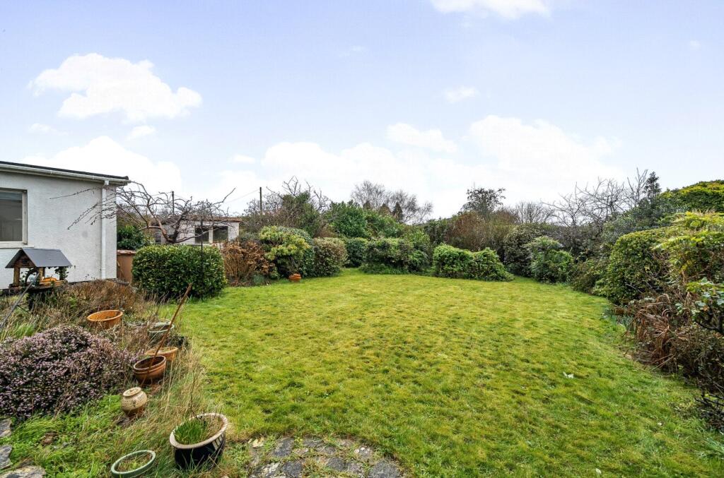 Back Garden